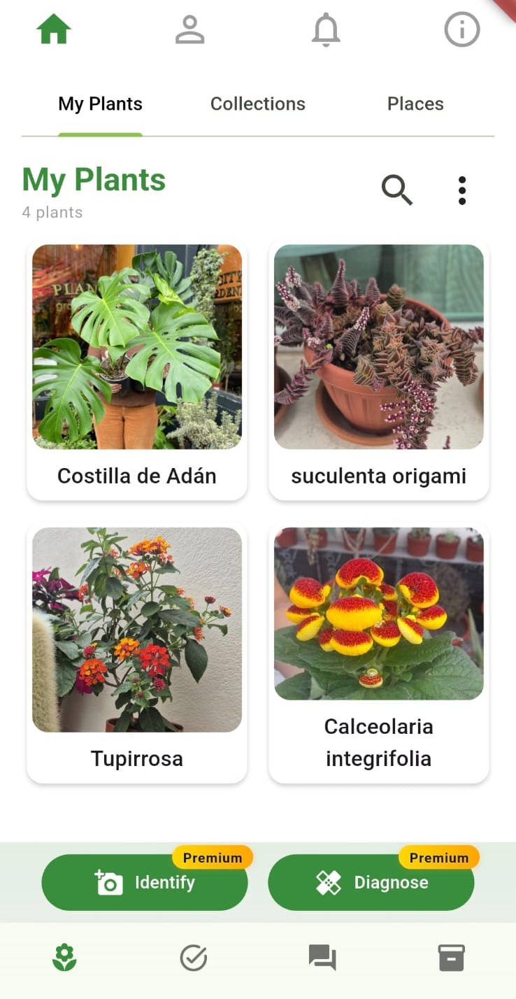 Plant identification screen in the My Garden app