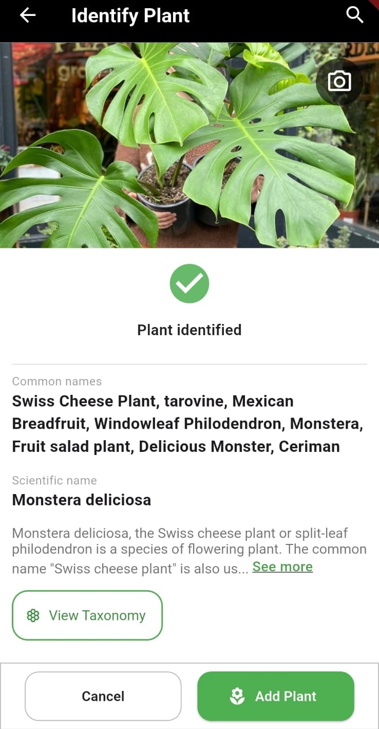 Pest and disease diagnosis in My Garden