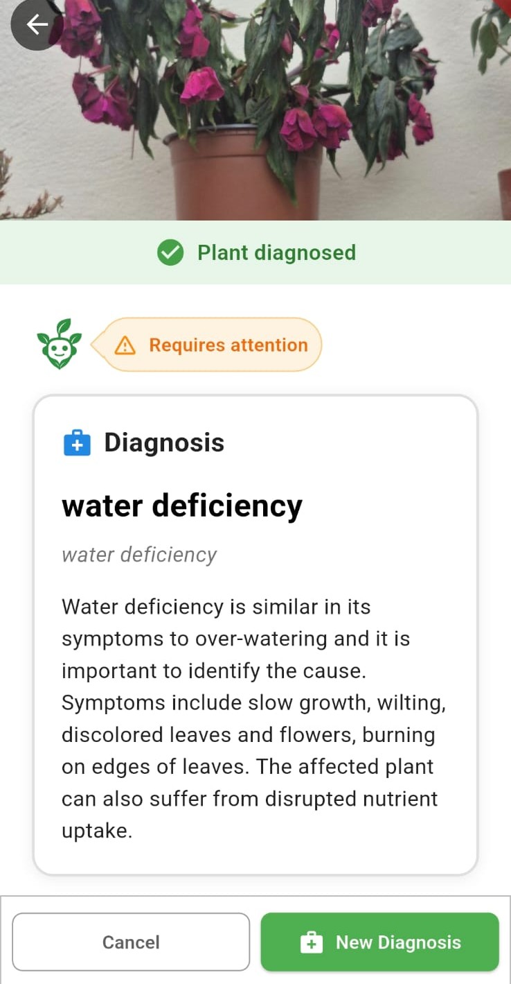 Smart watering schedule on My Garden