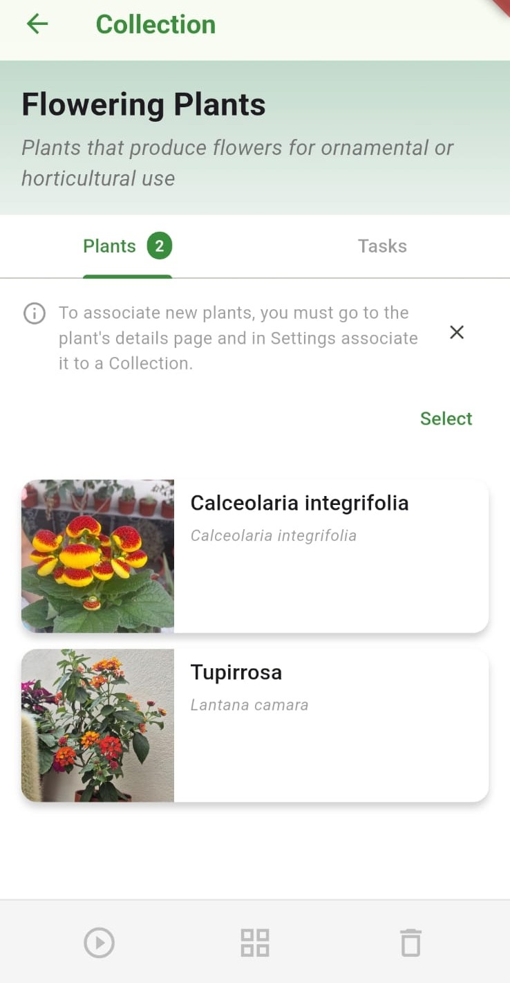 Gardener community feed on My Garden