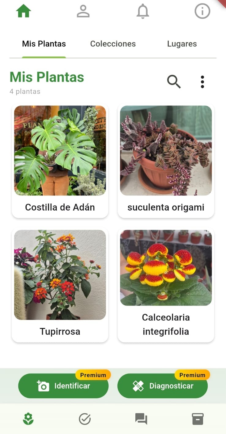 Identificación de plantas en la app Mi Jardín