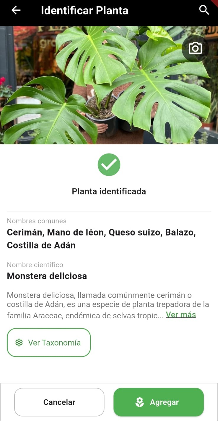 Diagnóstico de plagas con Mi Jardín