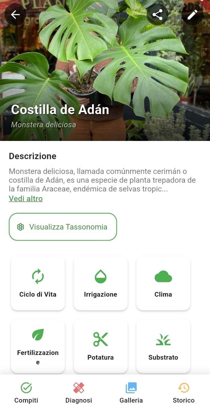 Organizzazione delle collezioni di piante in Il Mio Giardino