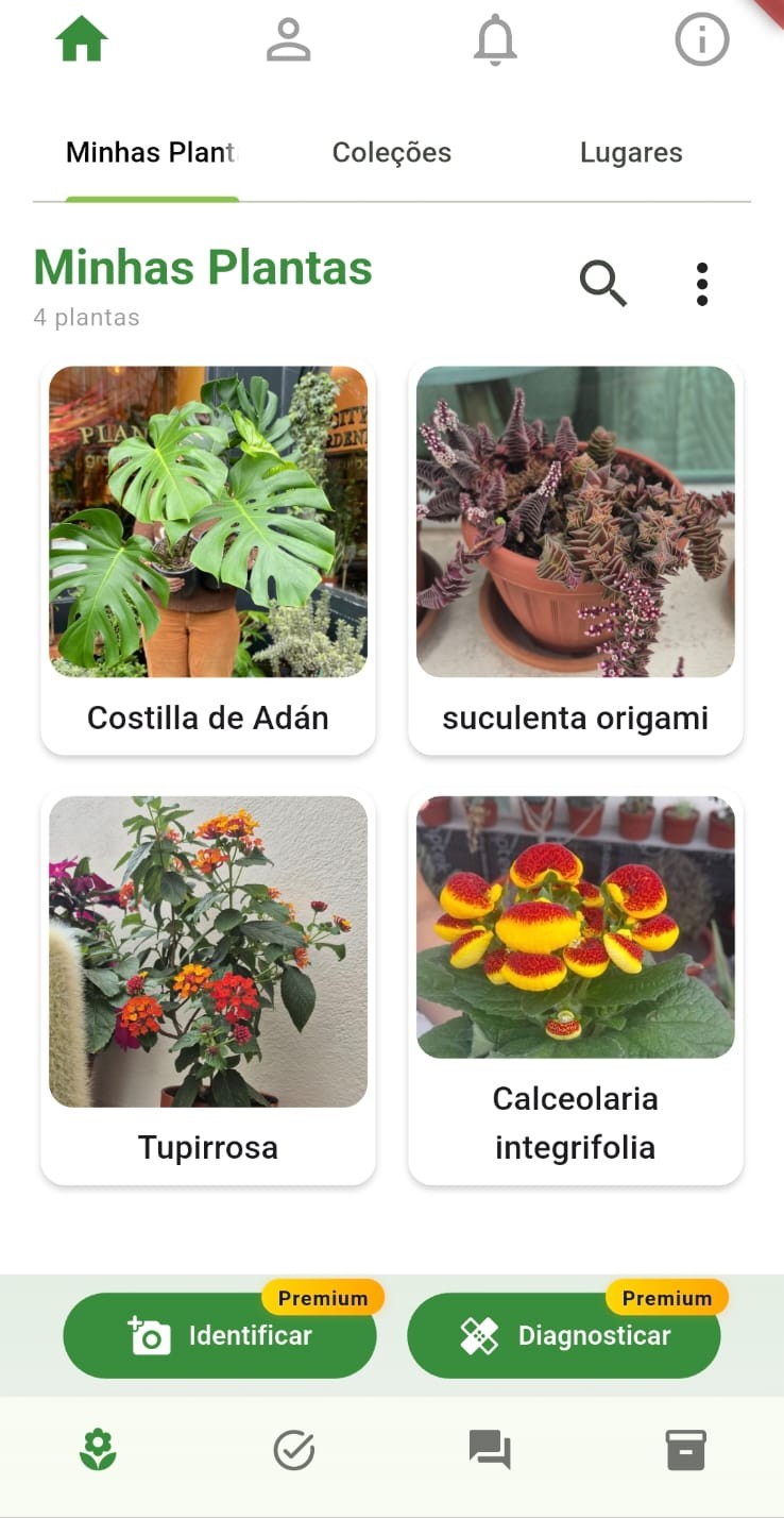 Tela de identificação de plantas no app Meu Jardim