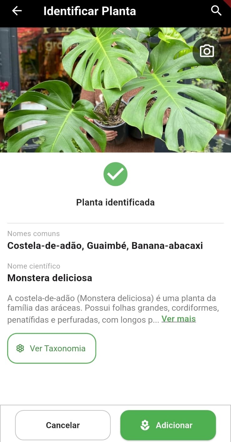 Diagnóstico de pragas no app Meu Jardim