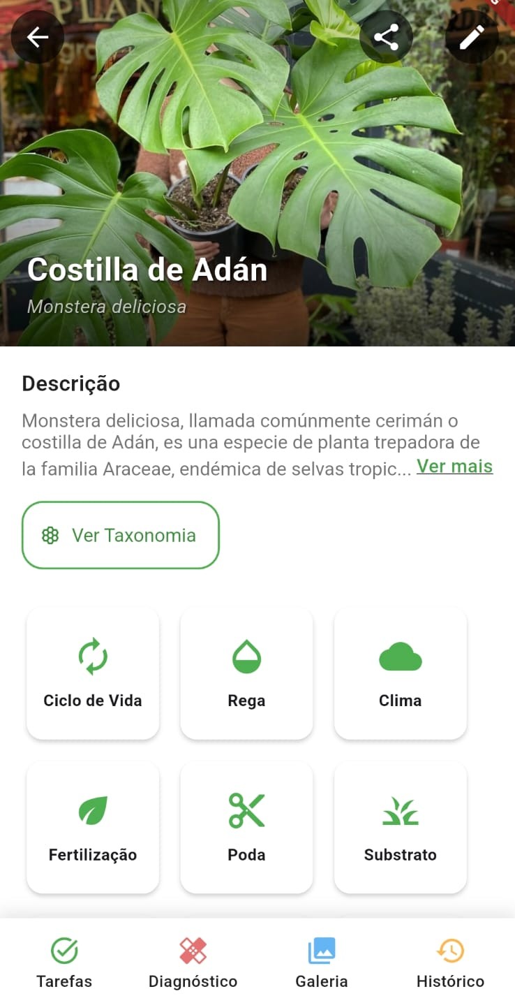 Organização de coleções de plantas no Meu Jardim
