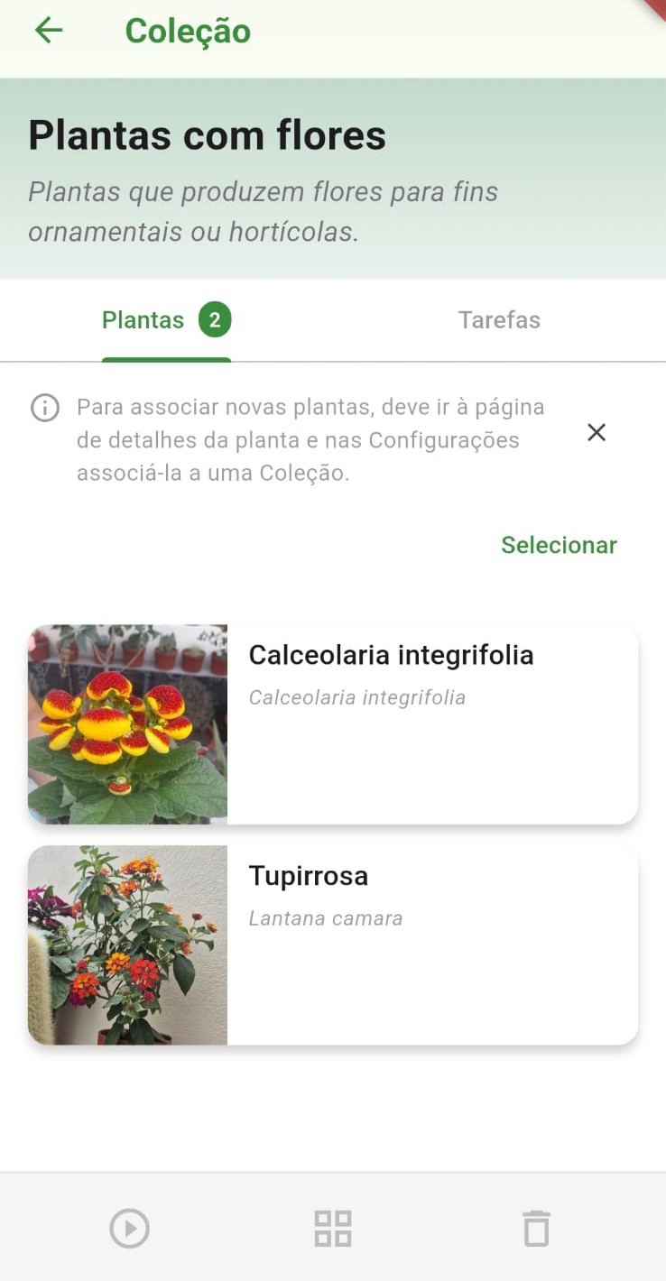 Comunidade de jardineiros no app Meu Jardim